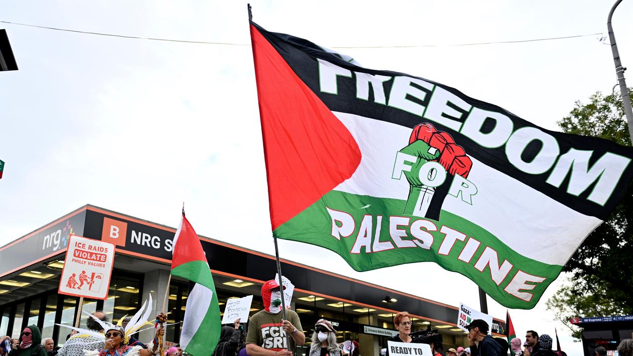 Pro-Palestinian demonstrators