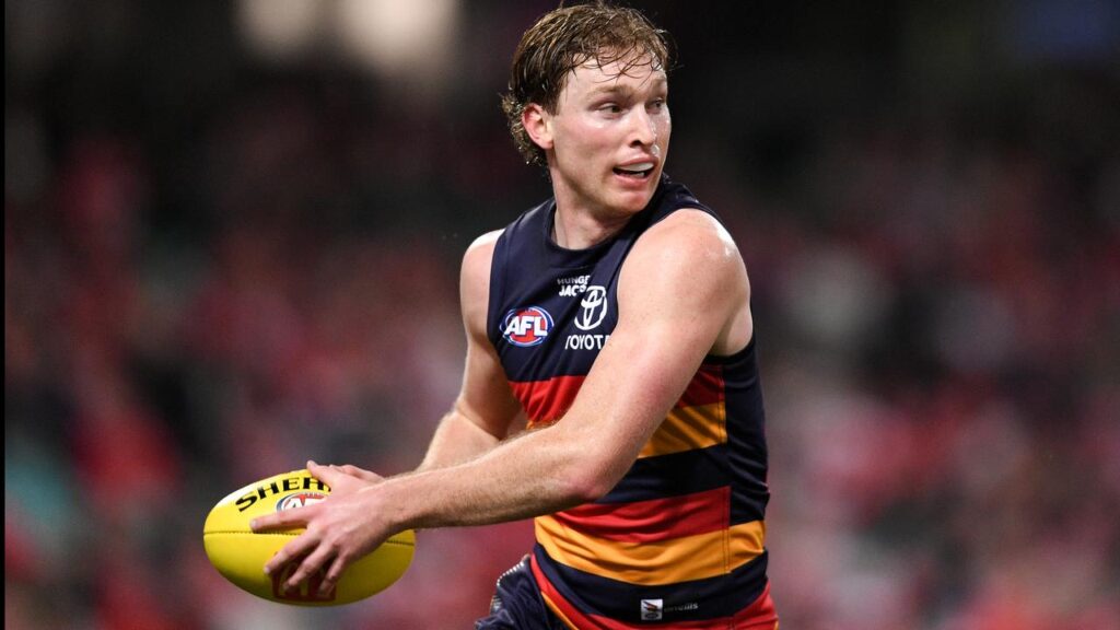 Max Michalanney is set to miss the start of next season after being charged with striking.
