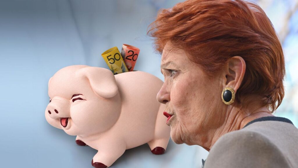 Pauline Hanson’s party has unveiled proposed measures to Australia’s superannuation system.
