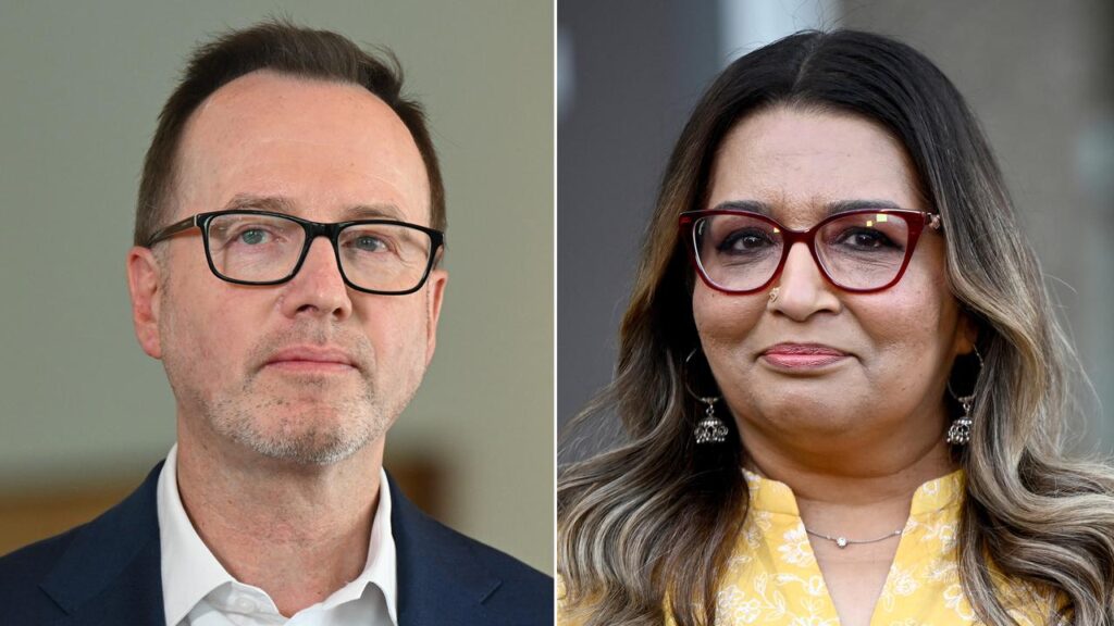 Senators David Shoebridge and Mehreen Faruqi are among potential new leaders of the federal Greens.

