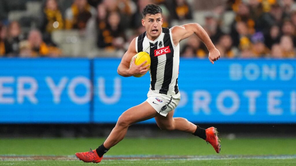 Nick Daicos is expected to claim the Brownlow Medal, possibly with a record winning vote tally.  
