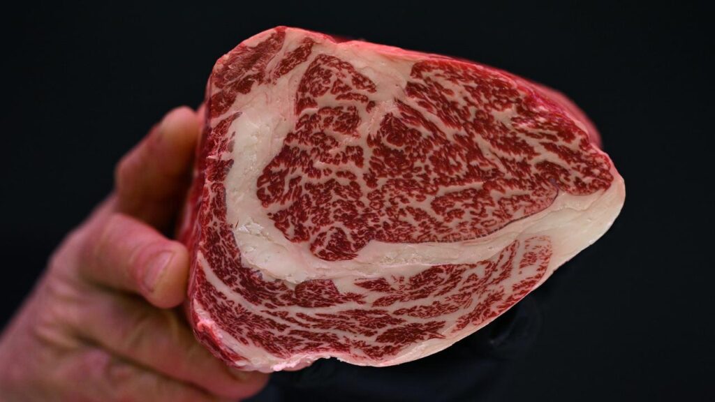 Australia has bagged a swag of awards at the World Steak Challenge including top wagyu honours.

