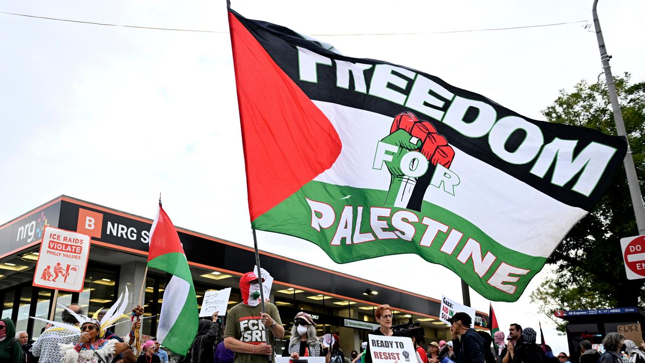 Pro-Palestinian demonstrators