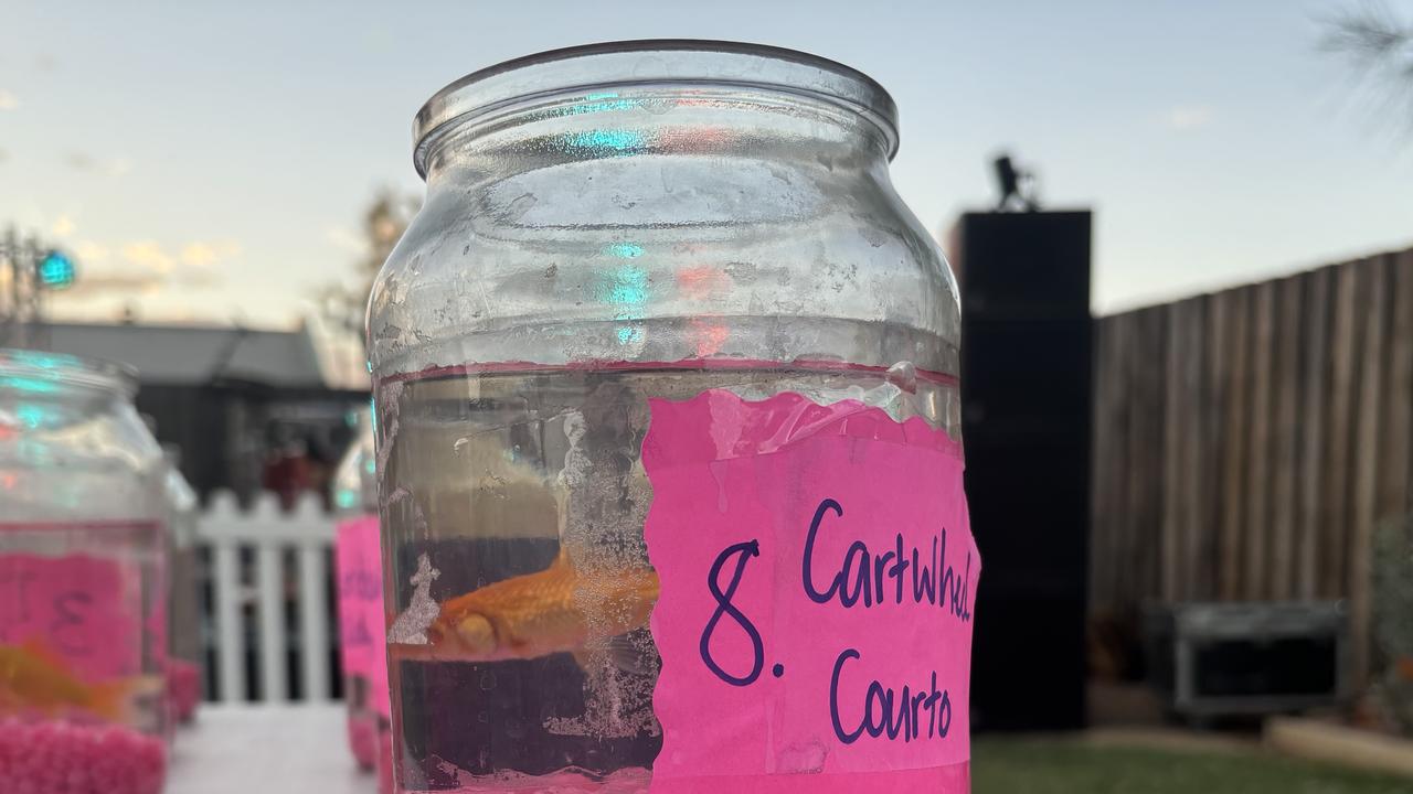 A goldfish in a jar