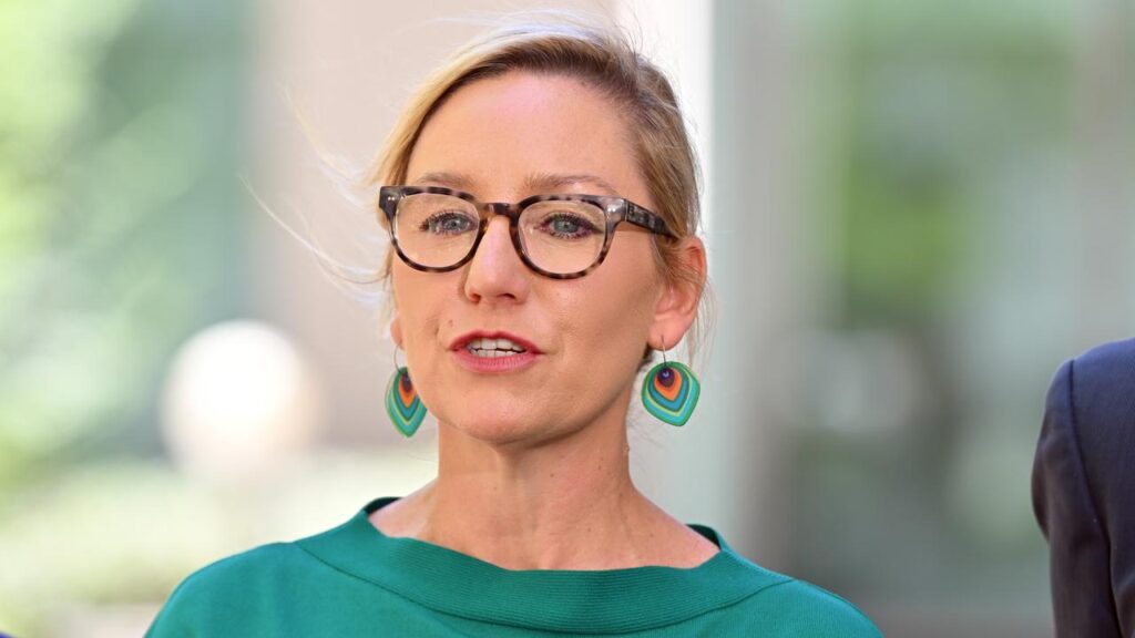 Larissa Waters is stepping down as leader of the Greens to manage a health issue.
