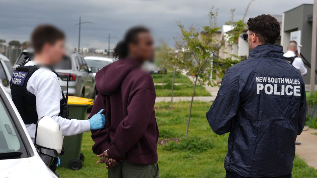 Four people have been arrested after allegedly travelling to Sydney to carry out criminal contracts.
