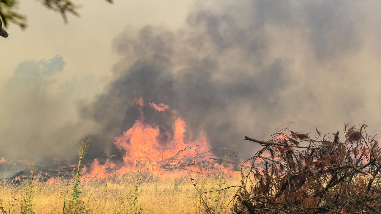 A bush fire