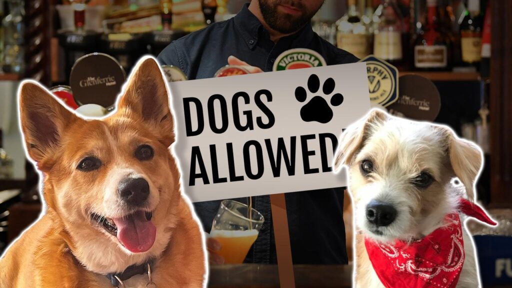 Patrons may soon be allowed to take their pups to the pub in Victoria under a Labor proposal.
