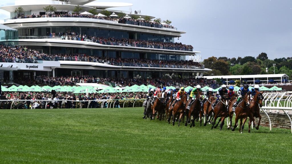 The field for this year’s Melbourne Cup continues to take shape after another horse was ruled out.

