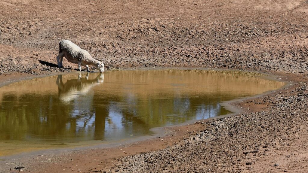 The weather bureau forecasts El Nino will increase over summer, leading to much drier conditions.
