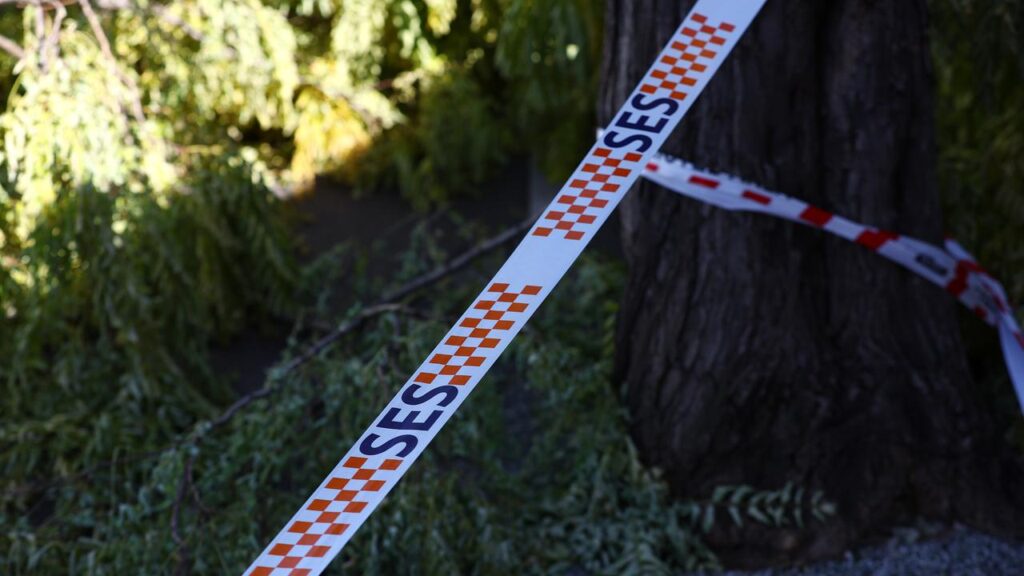 A 4.8-magnitude earthquake has been recorded near the Victorian town of Leongatha.
