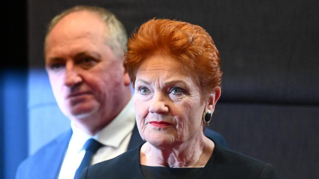 One Nation plans to slash migration by 750,000 places over three years.
