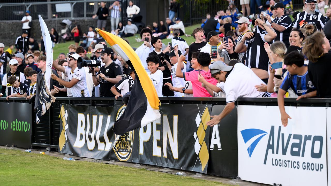Bulls supporters.