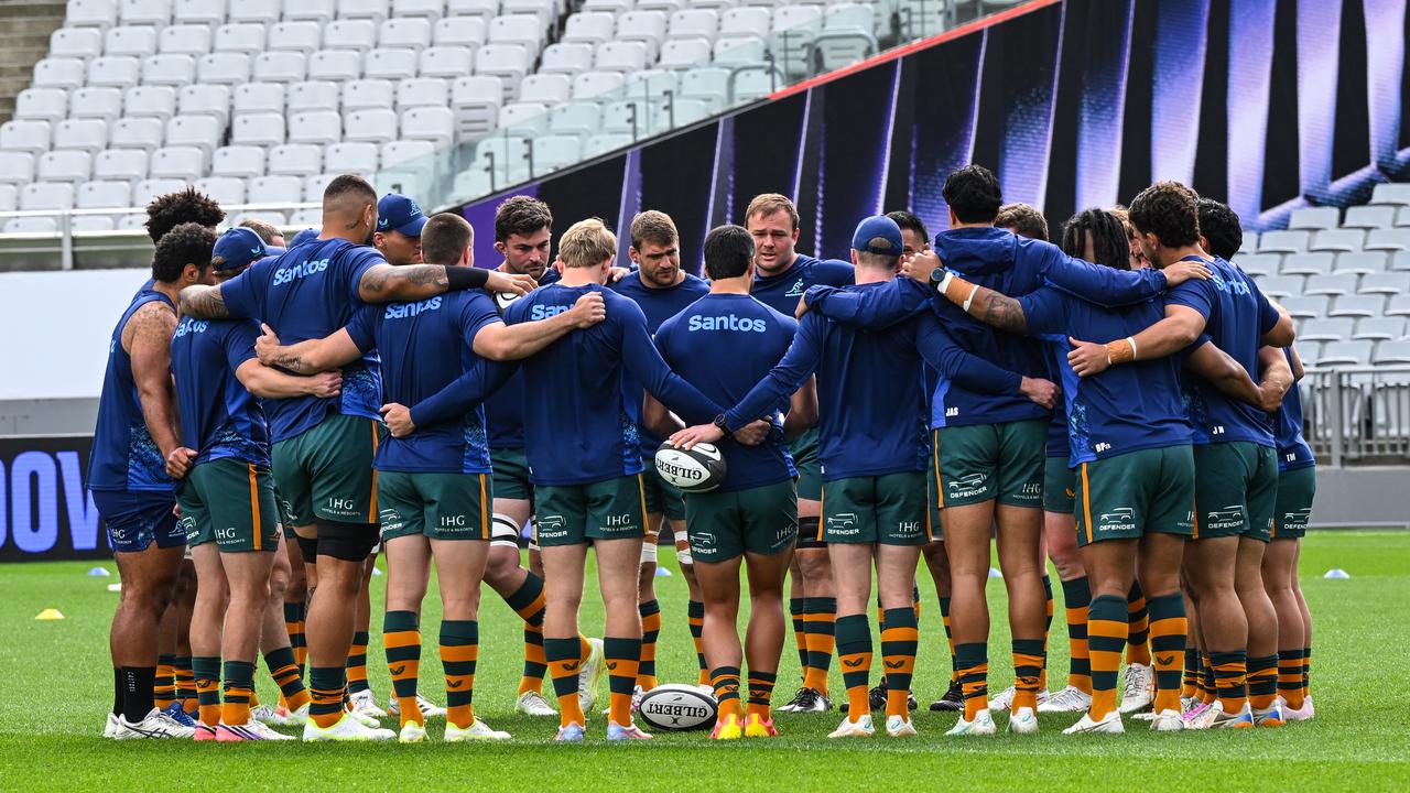 wallabies