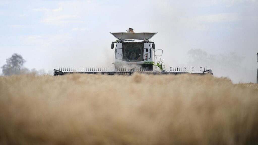 Deep concerns remain about the ongoing use of the highly toxic chemical paraquat in Australia.
