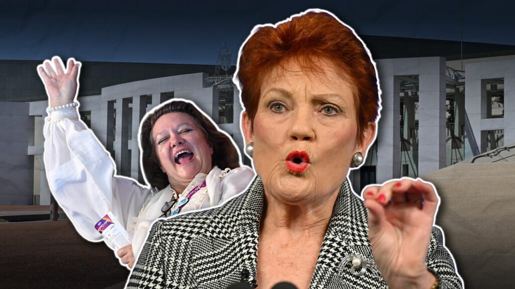 A public law expert believes huge donations to One Nation helped delay electoral funding reforms.
