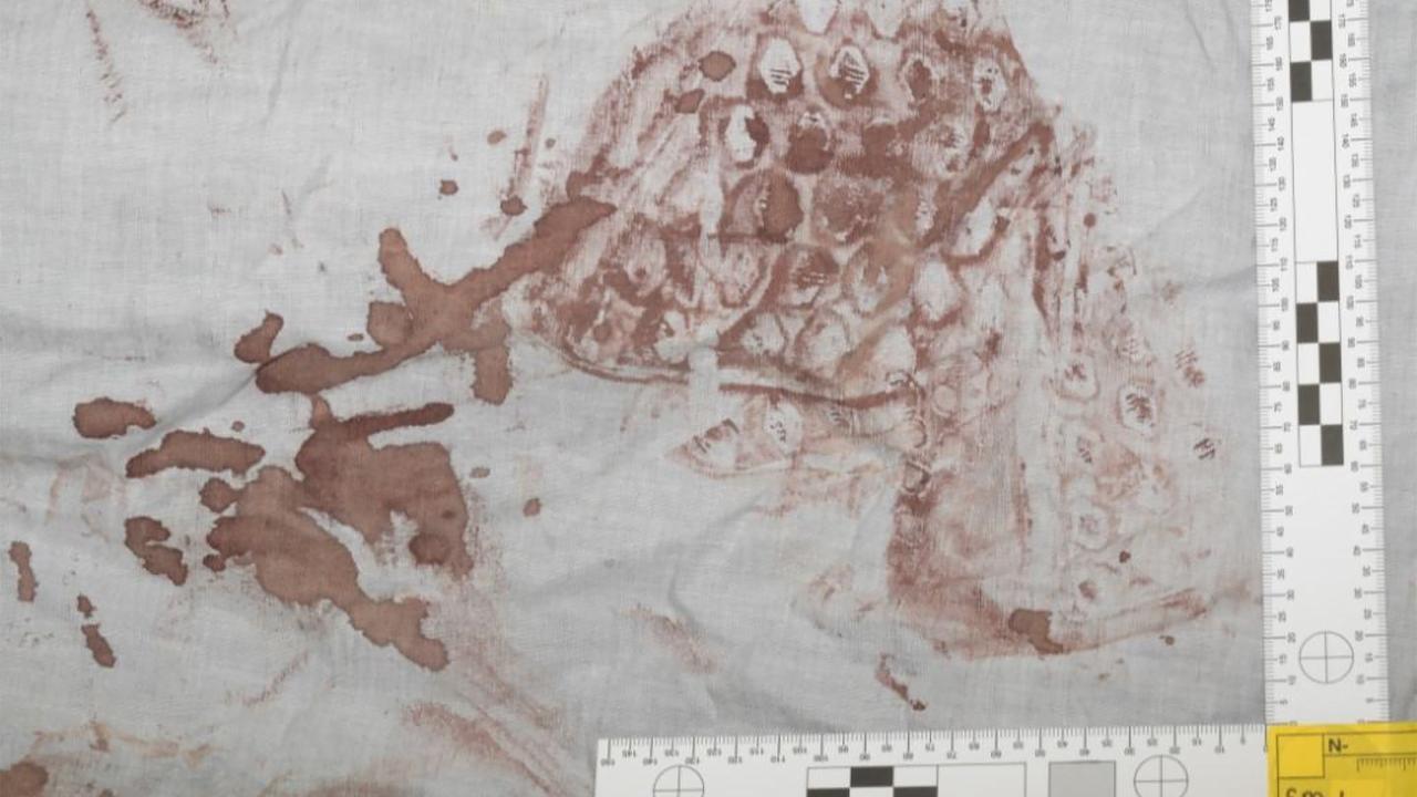 bloody shoeprint