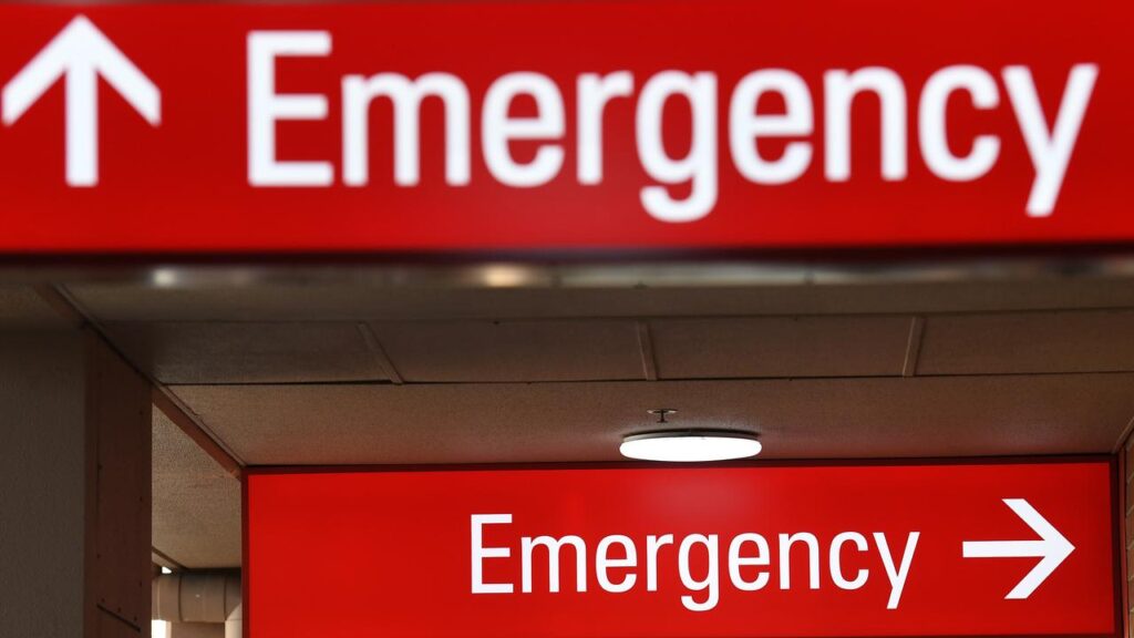 A politician says people who need mental health care are waiting for days in emergency departments.
