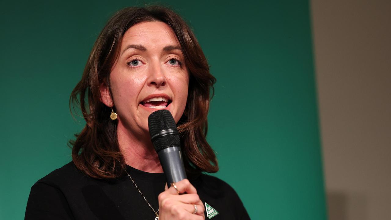 Greens senator Steph Hodgins-May