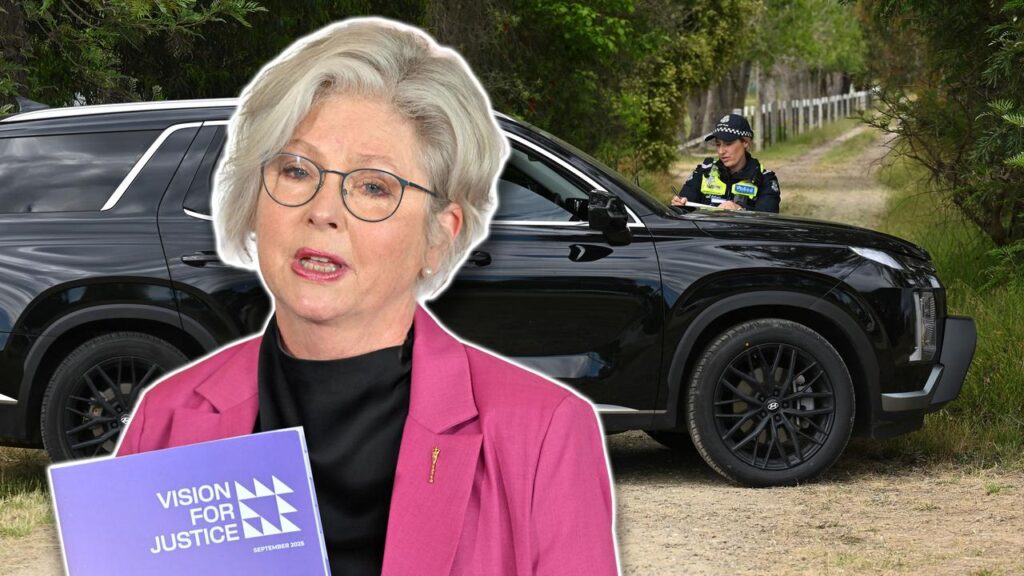 Independent MP Helen Haines is fighting for her life as police charge an accused driver.
