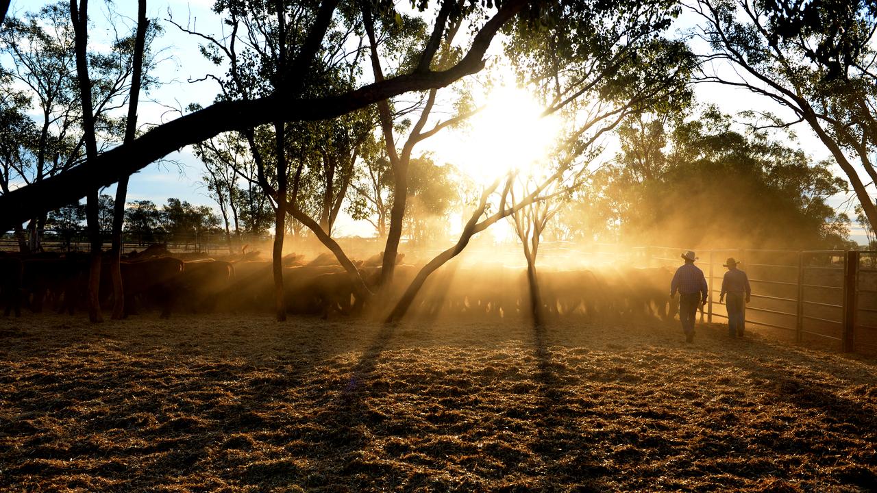 People on a farm