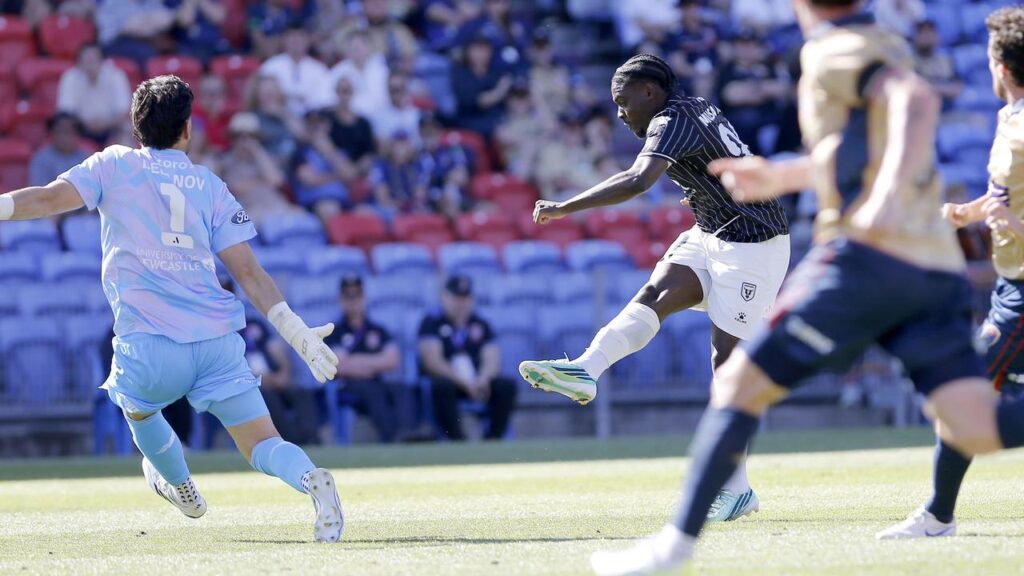 Musa Toure has blasted home to earn the Bulls a share of the spoils in Newcastle.
