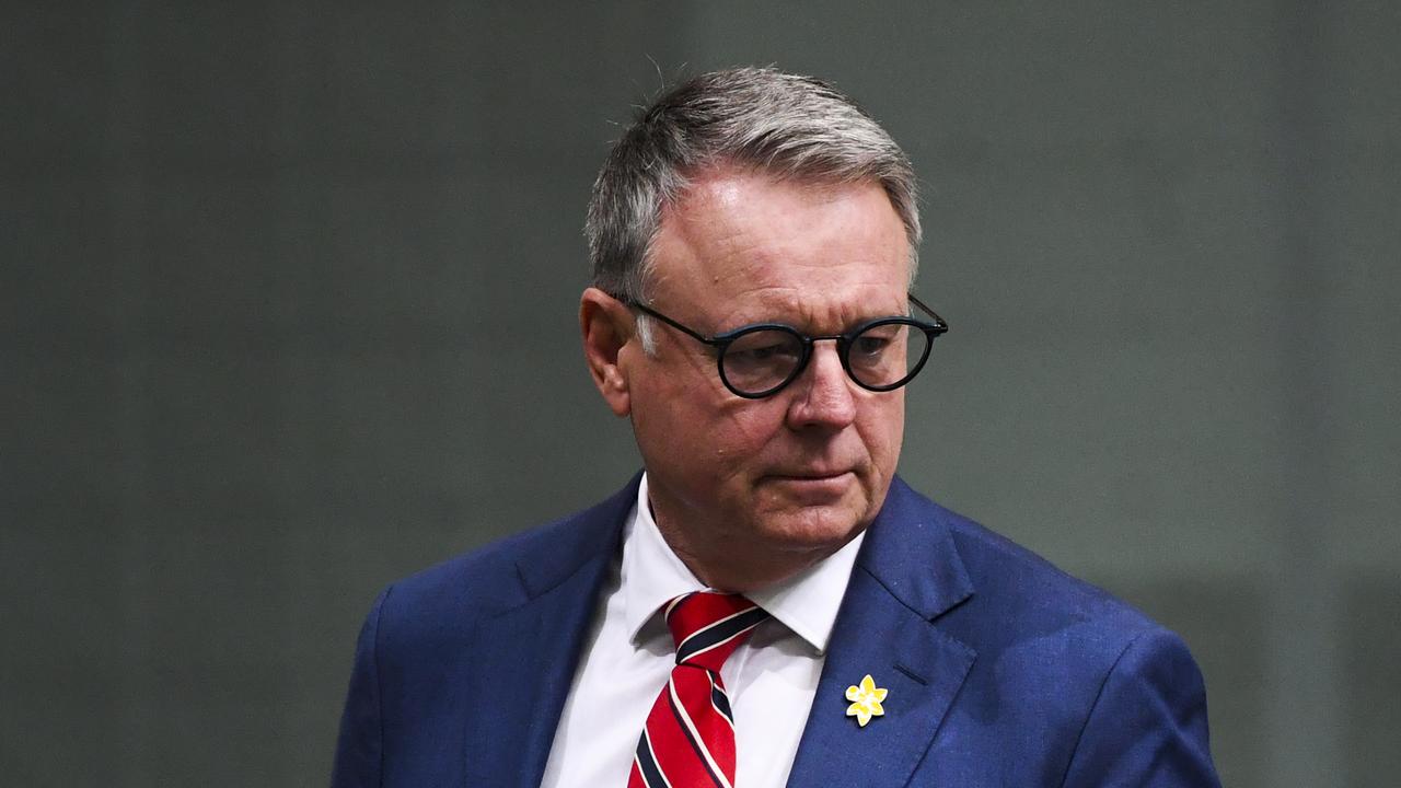 Former defence minister Joel Fitzgibbon