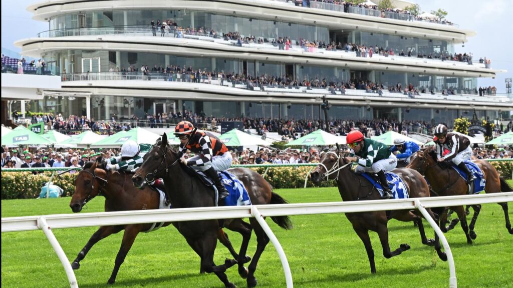 A Melbourne Cup day interest rate hike remains a distinct possibility.
