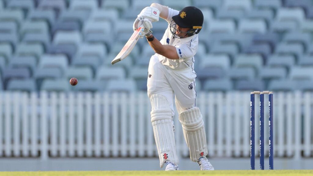 Sam Fanning has heroically helped Western Australia to a thrilling Shield win over Queensland.
