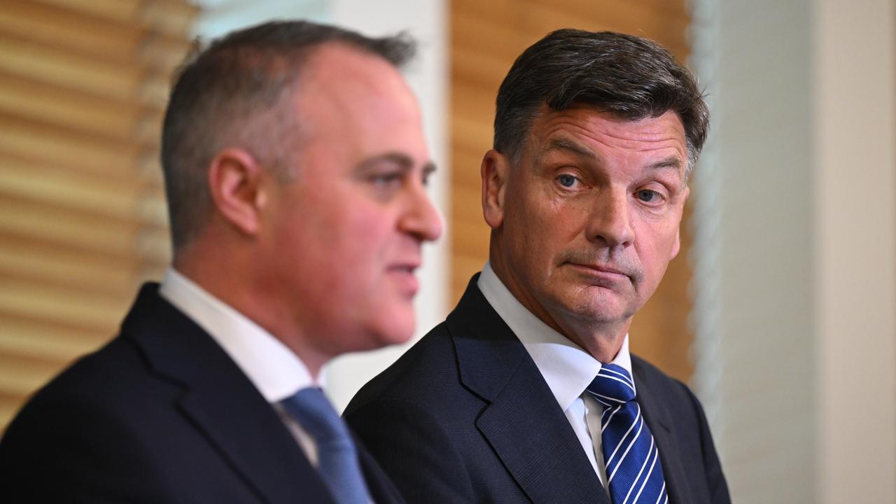 Tim Wilson and Angus Taylor