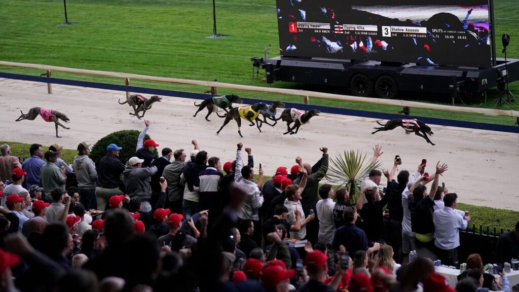 Thousands flocked to Wentworth Park to bid farewell to greyhound racing at the inner-city track.
