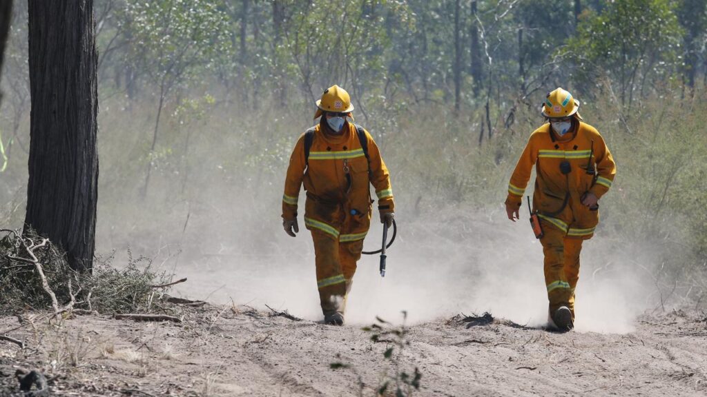 A predicted El Niño weather system has prompted the allocation of more AI bushfire cameras. 
