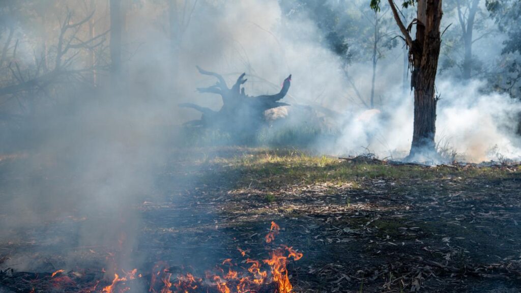 A disproportionate number of declared disasters affected First Nations communities in past year.
