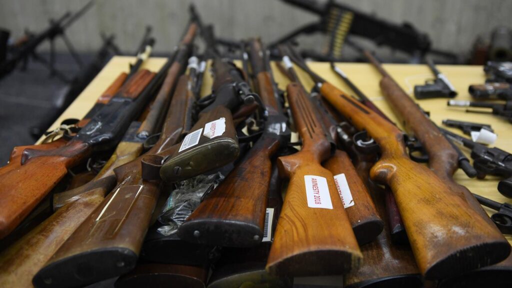 Six NSW police stations will accept surrendered guns from November 2.
