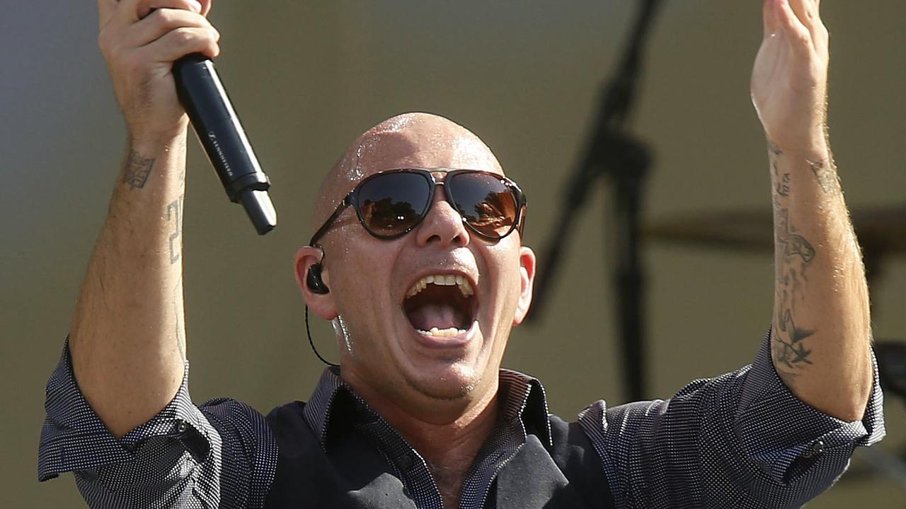 Pitbull