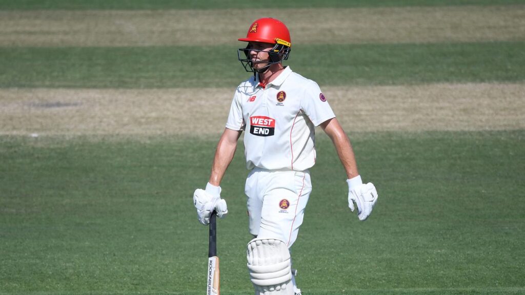 Nathan McSweeney missed a golden chance to reinforce his Test claims as SA lost to WA at home.
