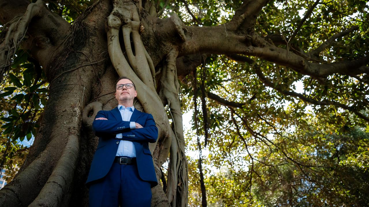 Senator David Shoebridge