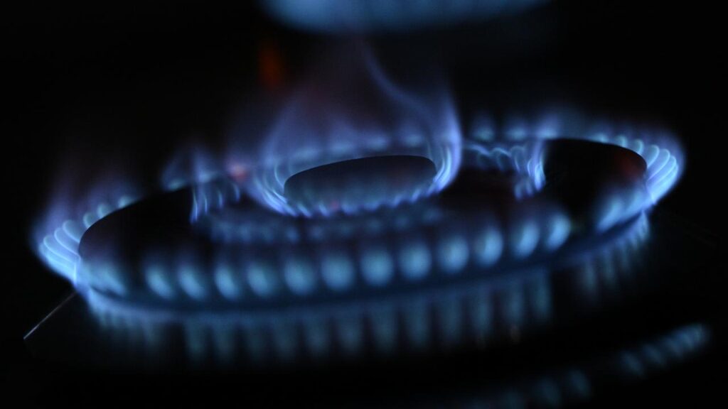 A major energy executive says the planned gas reservation scheme could result in market failure.
