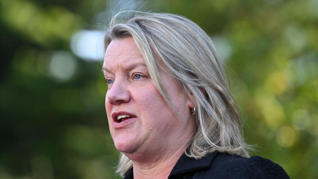 Ingrid Stitt has unveiled Victorian Labor’s pledge to eliminate out-of-pocket costs for abortions.
