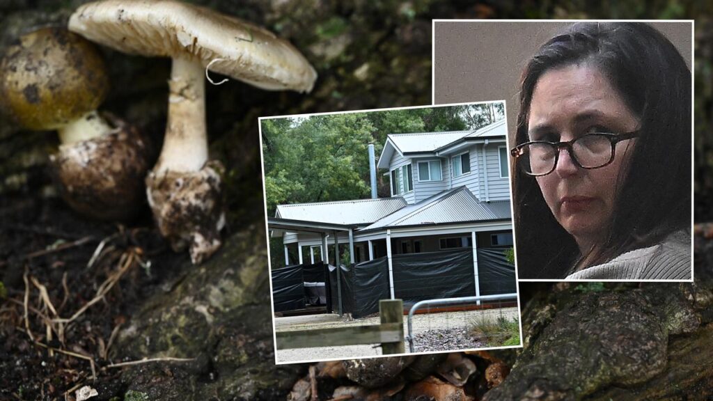 Mushroom murderer Erin Patterson will learn whether her conviction appeal has succeeded.
