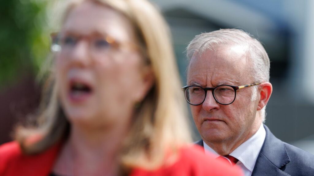 Anthony Albanese and Catherine King are at the centre of the probe into controversial grants.
